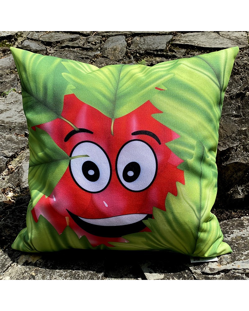 PANEL - Polštářek MALINA