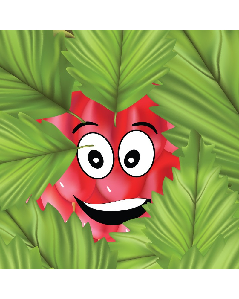 PANEL - Polštářek MALINA