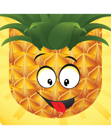 PANEL - Polštářek ANANAS