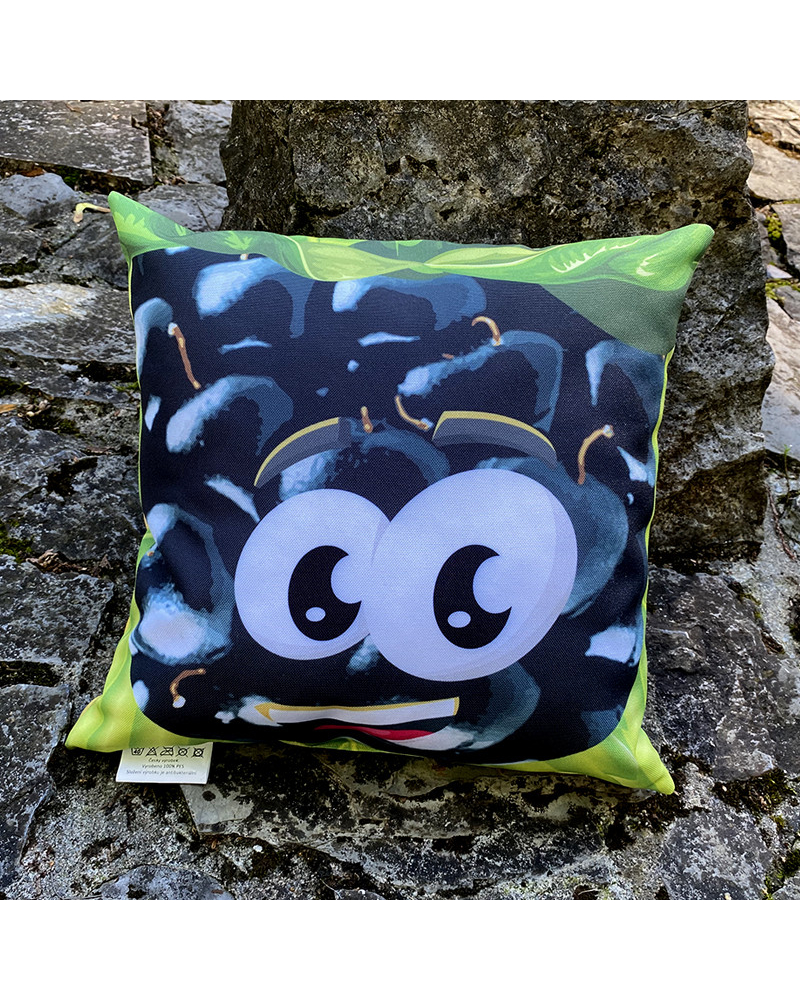 PANEL - Polštář OSTRUŽINA