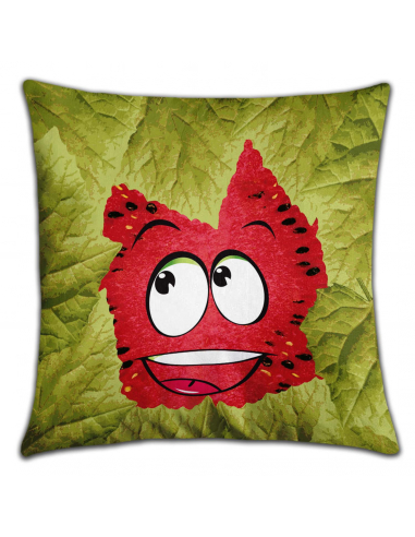 Dětský polštářek MELOUN