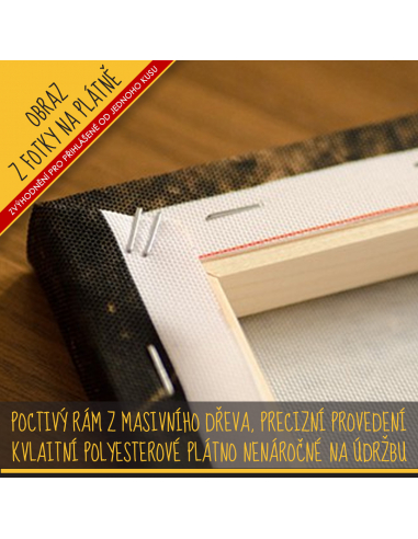 20x30cm - Obraz z vlastní fotografie