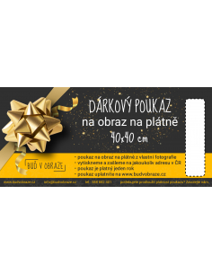 POUKAZ na obraz na plátně...