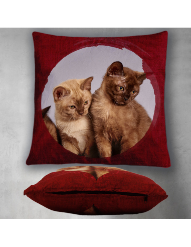 Polštářek V KRUHU - s vlastní fotkou